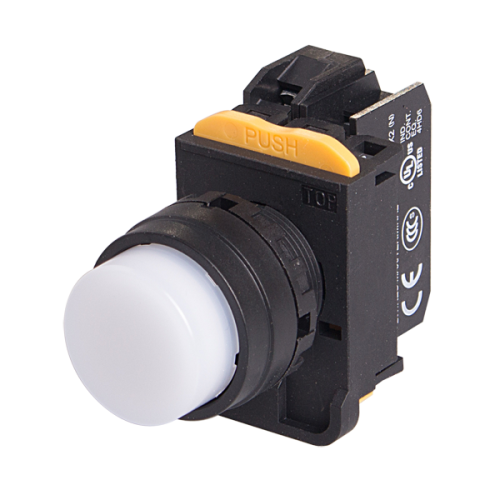 22mm LED Illuminated momentary pushbutton switch, Extended head, 1NO, White LED 110V AC/DC