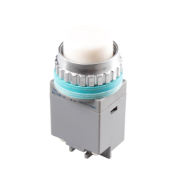 LED Pilot Lamp, 30mm Panel hole, IP65, Dome head, White, 110VAC