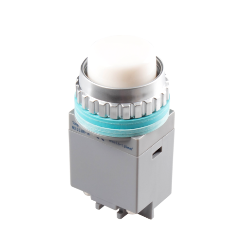 LED Pilot Lamp, 30mm Panel hole, IP65, Dome head, White, 110VAC