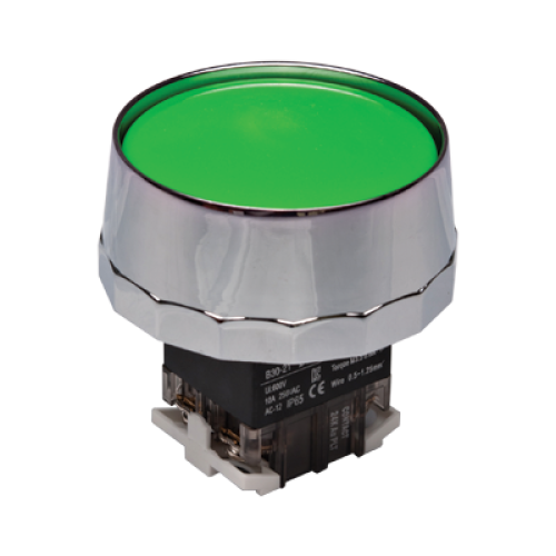 30mm Momentary Push button, 65mm Metal Full guard head, IP65, 1NO 1NC, Green
