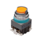 B30-21Y-EG