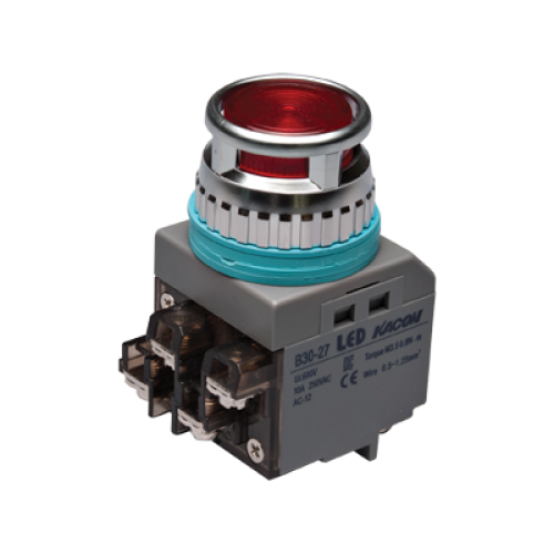 30mm LED Illuminated Momentary Push button, Round head, IP63, 1NO 1NC, Red, 110VAC