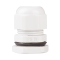 BC-PG-19-G