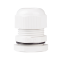 BC-PG-21-G