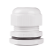 BC-PG-29-G