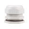BC-PG-48-G