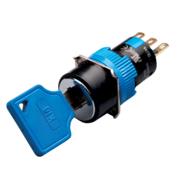 2 Position Maintained Key Selector Switch, 16mm Panel hole, Round Head, DPDT