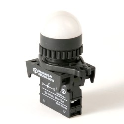 LED Pilot Lamp, 22/25mm Panel hole, Dome head, 110/220VAC,White