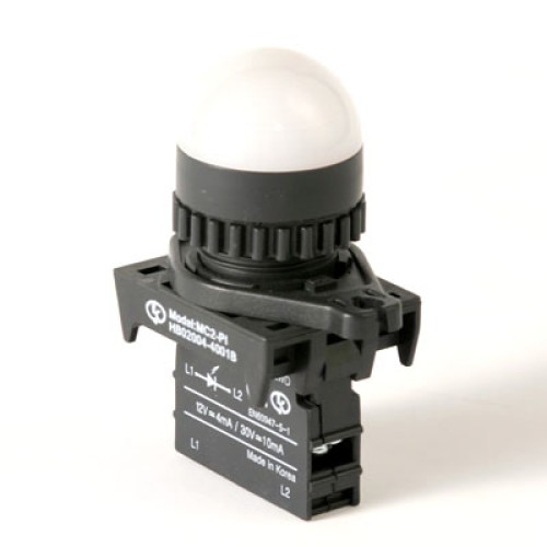 LED Pilot Lamp, 22/25mm Panel hole, Dome head, 12-30VAC/DC, White