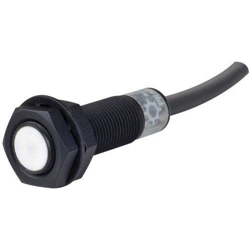 Sensor, Inductive Prox, 2mm Sensing, M12 Round, Shielded, Weld Field Immune, PNP NO, 3 Wire, 12 - 24 VDC