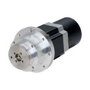 Rotary Actuator and Brake Type